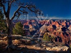 ARIZONA The Grand Canyon